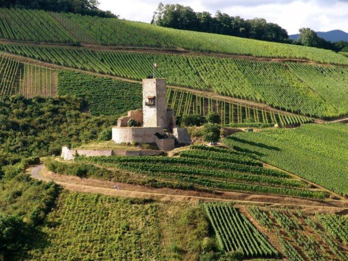Gite Les Terrasses du Wineck Katzenthal Extérieur photo