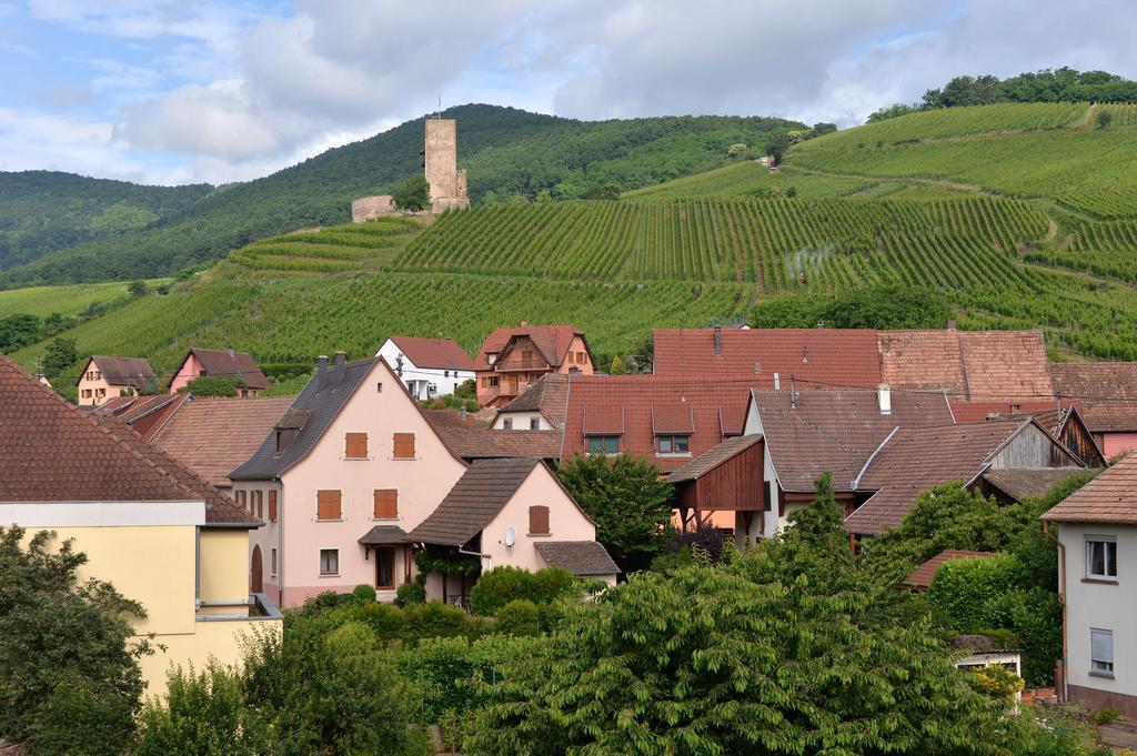 Gite Les Terrasses du Wineck Katzenthal Extérieur photo